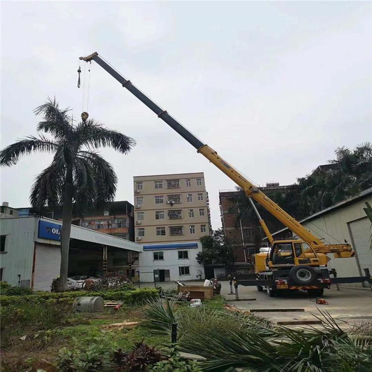 漳平吊车出租的费用解析：你不可不知的行业秘密